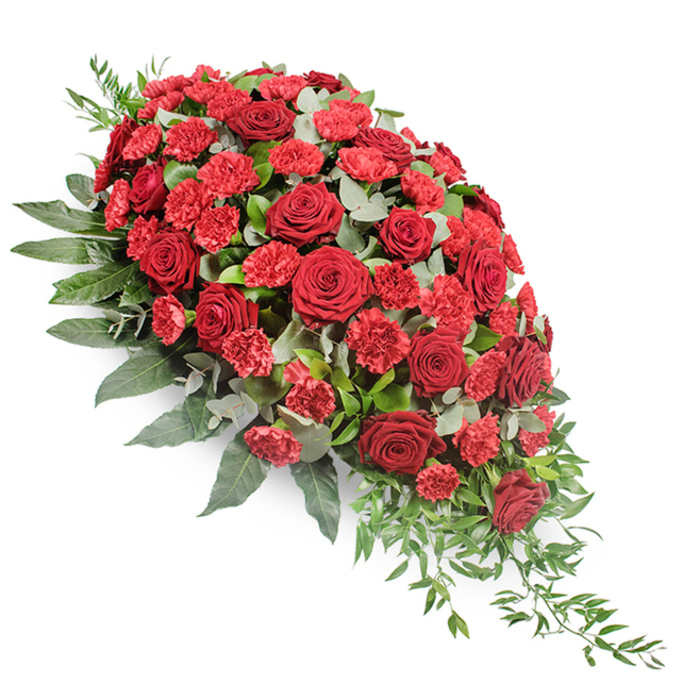Striking deep red casket spray presented on a pure white studio background, designed in a graceful, elongated teardrop form that echoes the gentle curve of a farewell gesture. The top left section is lush and full, dominated by large, velvety red roses in various stages of opening-some tightly cupped, others unfurling in layered spirals, each bloom carefully angled so its face is visible. Nestled among these roses are clusters of vivid red carnations and spray carnations, their finely fringed petals creating a soft, cloud-like texture that makes the arrangement look generous and comforting rather than stark. Supporting the blooms is a substantial bed of greenery, with broad, dark green leaves giving structure and depth along the outer edges. Interwoven among them are stems of silvery-green eucalyptus, their rounded leaves adding a cool, misty tone that gently balances the richness of the reds. From the upper fullness, the flowers and foliage sweep down diagonally to the lower right, where slender, lighter green sprigs extend outward and trail delicately, suggesting a natural cascade. The lighting in the image is even and serene, with no harsh shadows, allowing every petal edge and leaf contour to be read clearly, as though the spray were laid in quiet reflection at a chapel in central Oxford, close to the Bodleian or along St Giles'. This classic funeral tribute is suited to resting on a coffin or placed beside a photo of the loved one, conveying love, gratitude, and enduring remembrance for services across Oxford's churches, crematoria, and peaceful cemeteries.