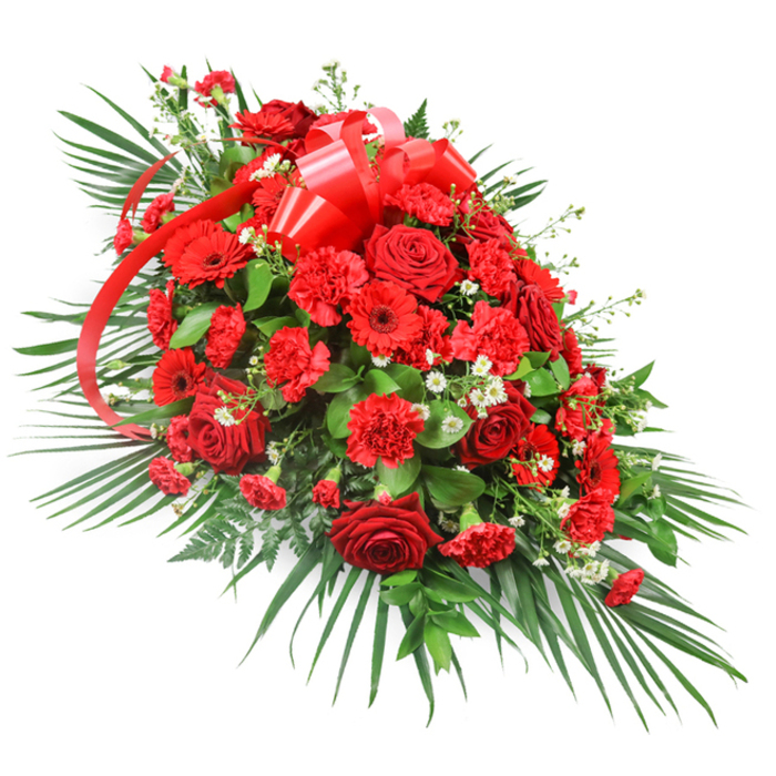 A luxurious red casket spray is displayed on a pure white backdrop, its rich colours and layered textures standing out with elegant clarity. The design is elongated and slightly asymmetrical, with a dense, full centre that gradually narrows to a soft point, creating a flowing, teardrop-like silhouette. At the heart of the tribute, deep red roses anchor the eye, their velvety petals unfolding in spirals that suggest tenderness and devotion. Some roses remain partially closed, hinting at quiet, unspoken feelings, while others bloom wide and generous. Interwoven with them are abundant red carnations, each bloom made up of finely serrated, ruffled petals that lend a plush, cushion-like softness to the arrangement. Here and there, red gerbera daisies shine with their bold, daisy-shaped faces and darker centres, introducing a contemporary touch and drawing light into the design. Delicate clusters of tiny white filler flowers, reminiscent of baby's breath or miniature chrysanthemums, are tucked gently between the red blossoms, adding subtle highlights and enhancing the depth of the arrangement. A prominent red satin ribbon is tied into an ornate bow near the upper middle, its glossy loops and long streamers threading down through the flowers to reinforce the rich red palette. Surrounding this core of blooms is an expansive bed of greenery: long, arching palm fronds fan outward, supported by darker, more compact leaves and the light, feathery texture of fern-like foliage. The overall effect is one of stately beauty and heartfelt sentiment, the kind of spray often chosen by families in Oxford for funeral services, memorial gatherings, or as a main floral tribute when saying a final, dignified goodbye.