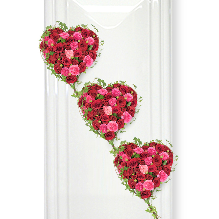 A trio of rose-filled hearts cascades diagonally across a bright white background, forming a striking funeral tribute that feels both artistic and deeply personal. Each heart shape is closely packed with an abundance of red and pink roses, so that the entire surface is a continuous sea of petals. The dominant crimson roses lend the design a sense of passion and unwavering love, while the scattered fuchsia and soft pink blooms bring gentle highlights, reminiscent of tender memories and lighter moments shared. The roses vary in openness, with some tightly furled buds adding structure and depth, and larger, fully open blooms contributing a lush, ruffled texture. Around the outer edges, slender ivy vines with neat, pointed leaves trace the curves of the hearts, reinforcing their shape and adding a note of natural calm. These vines then fall softly between each heart, visually linking them into one flowing composition, like chapters of a shared story. The pure white backdrop, similar to the clean walls of a modern Oxford crematorium or a peaceful service room near Headington, sets off the colours with clarity, allowing every petal and leaf to stand out. Subtle shadows at the edges of the flowers give a three-dimensional feel, as if the hearts are gently resting against the surface. The atmosphere is serene and contemplative, making this design especially suitable for a memorial service, funeral, or tribute to someone cherished. Crafted with care, it invites reflection on enduring affection, family bonds, and the beauty of a life remembered through flowers.
