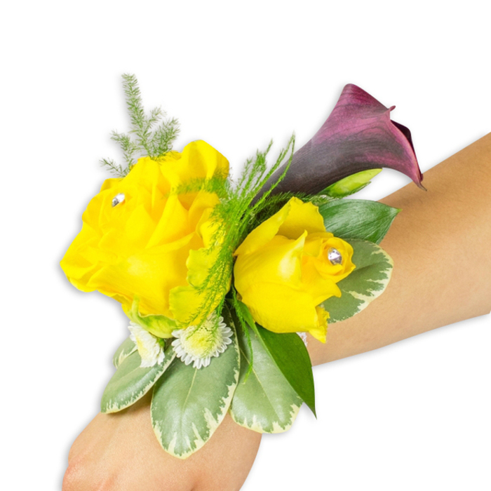 Displayed across a light forearm against a stark white field, this wrist corsage combines sunny cheer with refined drama in a compact, wearable design. Two golden-yellow roses form the heart of the arrangement: the left bloom fully open and generous, the right slightly smaller and more cupped, each embellished with a single sparkling rhinestone set near its centre to add a polished glint. A dark burgundy calla lily unfurls just behind them, its velvet-like surface and graceful trumpet giving height and sculptural contrast to the roundness of the roses. Intertwined with the main flowers are wispy asparagus fern fronds that breathe lightness into the piece, and several variegated, waxy leaves - pale-edged and green-centred - that create a solid, calming base. Tiny white button-style filler flowers, reminiscent of spray chrysanthemum or delicate gypsophila, nestle among the foliage and add softness to the silhouette. The corsage feels featherlight and fragrant: a warm rose note tempered by green leafiness, and its diagonal placement from lower-left to centre-right demonstrates how it sits on the wrist during a ceremony or celebration. Secured with a slim ribbon or hidden elastic, the design is comfortable for dancing or standing in photographs at a reception on Christchurch Meadows or a civic event by Gloucester Green. Crafted with an eye for balance and contrast, this piece - produced by passionate local florists at Flowers Oxford - reads as both jubilant and sophisticated, a small but memorable accessory that complements spring gowns or tailored evening wear around the city.