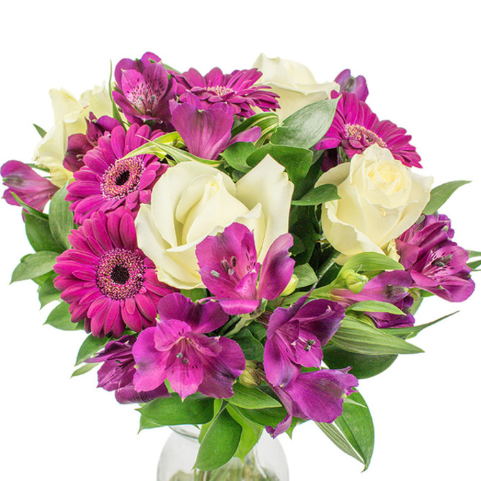 A professionally gathered round bouquet occupies the centre of a white, well-lit frame, a study in contrast and texture that would sit beautifully on a dining table in a Summertown flat or as a reception accent near the Bodleian. Several creamy white roses are arranged with classic elegance, their soft petals layering outward in a gentle spiral that suggests a restrained perfume and old-fashioned grace. At least three bold deep magenta Gerbera daisies punctuate the arrangement, their vivid pink petals and near-black central discs providing energetic punctuation and immediate visual warmth. Interspersed throughout are numerous clusters of purple and fuchsia Alstroemeria, their trumpet-shaped blooms marked with fine speckles and streaks that add intricacy and a hint of tropical charm. The bouquet's volume is heightened by luxuriant dark green foliage - a mix of broad, glossy leaves and more linear greenery with faint variegation - which provides both structural support and a verdant backdrop to the flowers' tones. A clear glass vase peeks into view at the bottom of the image, its subtle presence anchoring the bouquet without detracting from the floral composition. The lighting emphasizes the freshness of each bloom, the white background allowing the magenta, cream, and violet hues to read clearly and vibrantly. This arrangement feels joyful yet composed, suitable for birthdays, housewarmings, or as a thoughtful centrepiece to accompany a lunch by the river near Magdalen Bridge, carrying the quiet assurance of a locally hand-crafted design.