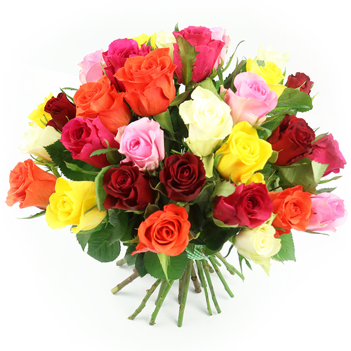 A bountiful bouquet of approximately thirty to forty multi-coloured roses fills the frame, resting on a pristine white surface with a white background that allows every petal to stand out clearly. The arrangement is rounded and full, the blooms gathered so closely that they form a smooth, domed silhouette, reminiscent of a well-tended rose bed in an Oxfordshire garden. Deep crimson and burgundy roses lend drama and depth, nestled amongst bright fuchsia, soft shell-pink, and delicate pastel tones. Interspersed between these cooler shades, sunny yellow roses and glowing orange varieties bring a sense of warmth and light, while creamy white and ivory blooms soften the overall palette and introduce a feeling of calm balance. Each rose displays the characteristic layered spirals of its petals, some gently curling at the edges, others still forming tight, perfect whorls. Between clusters of flowers, polished dark green leaves appear in small arcs, offering subtle texture and helping define the individual blooms. The stems extend below in a tidy bundle, all cut to a similar length and tied firmly with a green and white gingham ribbon that hints at a hand-crafted, market-fresh style you might find from a local Oxford florist preparing same-day delivery across Summertown, Cowley, and the city centre. There is a softness to the lighting that flatters the colours, brightening the yellows and whites while allowing shadows in the red and burgundy roses to create gentle depth. The bouquet feels versatile yet special, suitable for birthdays, anniversaries, thank-you gifts for a favourite tutor, or simple gestures of affection, with the visual impression of freshness, abundance, and carefully considered design.