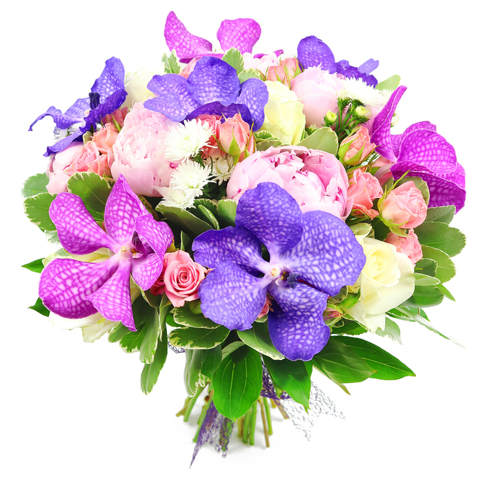 Captured against a clean white background in clear, even light, this hand-tied bouquet appears almost to float, its colours vivid and its textures crisply defined, like a centrepiece prepared in an Oxford studio overlooking the spires. Several large pink peonies sit at the core of the arrangement, their plush, many-layered petals creating soft, billowing spheres that convey romance and generosity. Woven through these romantic blossoms are dramatic Vanda orchids in deep indigo purple and bold fuchsia, their flat, open faces patterned with fine, lace-like veining that gives an exotic, contemporary twist to the otherwise classic mix. Around and between these focal flowers, clusters of spray roses in pale pink and warm peach tones, along with a few creamy white or very pale yellow roses, add nuance and gentle transitions of colour. Some of the roses remain as tight, promising buds, while others have started to open, their spirals of petals framed by the surrounding blooms. Tiny, spiky white filler flowers, similar to miniature chrysanthemums, are tucked into the gaps, breaking up the larger shapes and lending a delicate, almost sparkling detail. The whole bouquet is wrapped in a generous collar of glossy green leaves and smaller, varied foliage, which forms a natural, full base and underscores the freshness you'd expect from Flowers Oxford on the day of delivery. At the bottom, the gathered stems are bound with a purple ribbon and a hint of sheer mesh, signalling that this is a finished, gift-ready piece. The arrangement feels joyful, elegant, and celebratory, ideal for birthdays, anniversaries, or graduation flowers sent across Oxford, from Marston to North Hinksey.