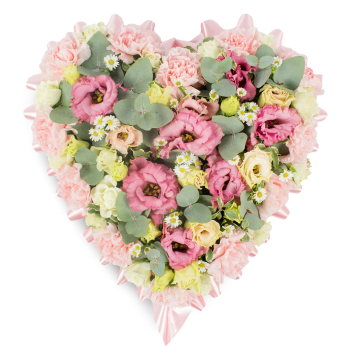 Set against a bright white background, this heart-shaped floral tribute appears both soft and structured, like a carefully composed message of love crafted in petals. Around the edge of the heart, a dense band of pale pink carnations and pastel lisianthus creates a plush, cloud-like frame, each bloom slightly different in shade, from blush to light rose. The petals are frilled and gently curling, giving the border a tactile, velvety richness. Inside the heart, the florist has packed the space with a harmonious mix of creamy yellow and ivory spray roses, adding pockets of warmth, alongside additional lisianthus heads in deeper pink tones that draw the eye inward. Small white daisy-style flowers, with neat yellow centres, are scattered throughout, reminiscent of delicate chamomile you might see in gardens around Oxford's quiet residential streets and nearby villages. Silvery-green eucalyptus, with its rounded, coin-like leaves, winds through the flowers, bringing a cool contrast and a sense of natural movement, supported by darker green foliage that adds shadow and visual depth. A soft pink satin ribbon lines the perimeter of the heart, just visible between the petals, and is tied into neat bows at the top and tapering point, introducing a refined finishing touch. The entire piece feels composed for a meaningful farewell-ideal for a funeral or memorial service in Oxford, whether in an historic church, at the crematorium, or at a peaceful countryside burial. It communicates heartfelt sympathy and enduring affection, offering comfort to those gathered to remember and celebrate a life.