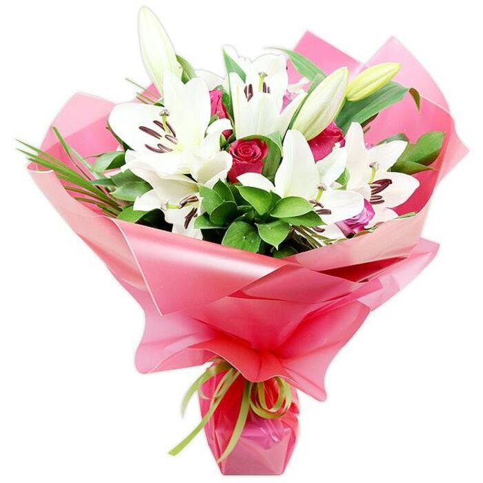 A striking hand-tied bouquet of pristine white lilies and deep red roses is displayed against a clean, uncluttered white background, giving the arrangement a gallery-like presence. The lilies, clearly Oriental in style, dominate the upper portion, with several large flowers fully open so that their wide, star-shaped petals create a soft, white canopy. In the centre of each lily, dark reddish-brown anthers sit atop slender filaments, dusted with fine pollen that contrasts strongly against the pale petals. Around them, firm lily buds, washed with tones of green and cream, point upwards, suggesting the bouquet will continue to open and evolve over several days. Cradled between these taller stems, the deep red roses cluster in groups, many still tightly wound, their velvety petals forming neat spirals. Some blooms are a touch more open, showing deeper shadows within, and together they bring a sense of intimate romance to the design. The flowers are supported by an abundance of rich green foliage-broad, shiny leaves layered at different angles and fine, grass-like strands that arc outwards, creating movement reminiscent of a gentle breeze across University Parks in Oxford. Surrounding the entire arrangement is a generous swathe of bright pink cellophane, translucent and high-gloss, manipulated into soft waves and curves that frame the blooms like a festive collar. At the base, a delicate lime green ribbon cinches the stems, its subtle sheen and fresh colour adding a playful yet sophisticated finishing touch. The bouquet exudes warmth and celebration, ideal for anniversaries, graduations near the colleges, or thoughtful same-day delivery to homes and offices throughout Oxford.
