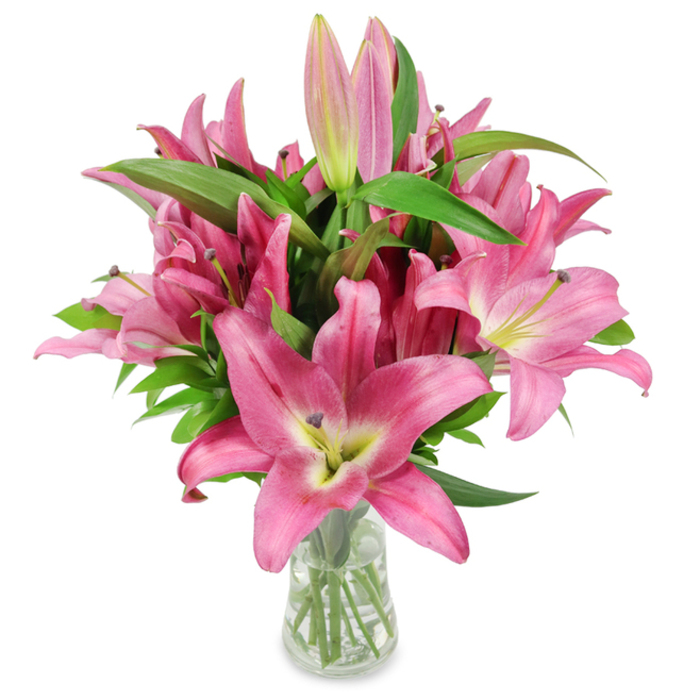 A striking bouquet of freshly cut pink oriental lilies fills a clear glass vase, set against a neutral white studio background so every detail reads with clarity and warmth. The composition is a study in rich pinks and botanical contrast: large, six-petaled lilies open wide in fuchsia and rosy shades, their petals gently curving to reveal pale, chartreuse-yellow throats that soften into creamy whites at the centre. Dark burgundy stamens, tipped with golden pollen, punctuate each bloom and lend a sculptural quality to the soft petals. Scattered among the open flowers are many buds, some tightly closed and others beginning to unfurl, giving the arrangement a sense of time and unfolding life that promises several days of enjoyment. The glossy, lance-shaped leaves weave between flowers, their deep green hue providing a cool backdrop that heightens the lilies' vivid tones. The vase is deliberately simple and transparent, showing trimmed stems standing in clear water - a detail that speaks to professional conditioning and freshness.

This bouquet carries a gentle, heady scent and a presence that suits many purposes, from Mother's Day celebrations to elegant home décor or a thoughtful anniversary gift. Its clean, bright presentation evokes the calm mornings on Iffley Road or the peaceful walks by Port Meadow, and the photograph emphasizes both the tactile textures and the emotional lift fresh lilies bring. The arrangement is crafted to read beautifully in editorial contexts about floral care, seasonal gifting, and the timeless appeal of premium cut flowers in Oxford.