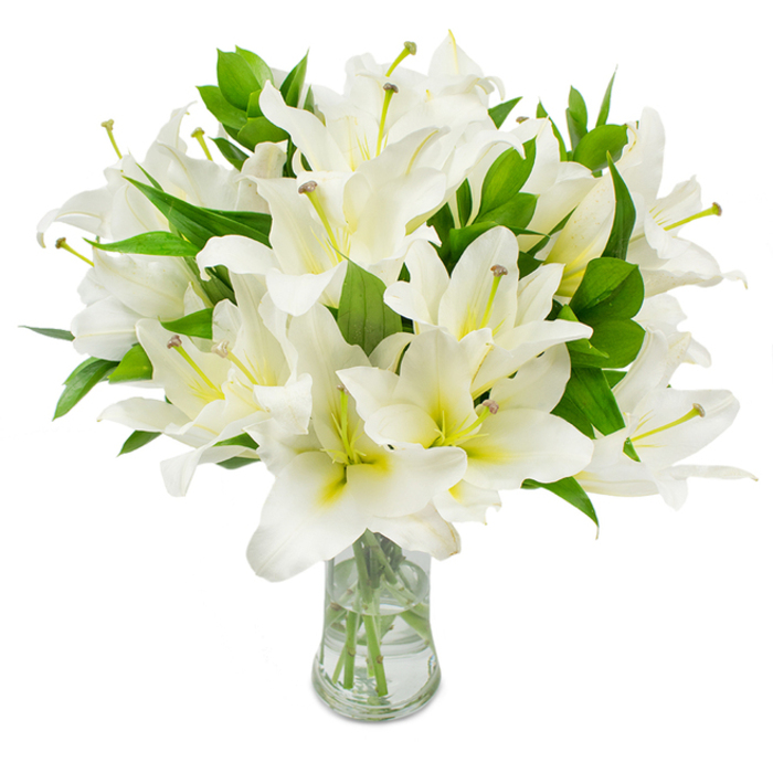 A bountiful cluster of white lilies has been composed into a generous, thoughtfully balanced bouquet, its pristine blossoms presented in a clear, classic glass vase. Each flower opens into several smooth, broad petals that glow a brilliant white, while a tender cream or palest yellow deepens toward the throat of many blooms, giving the arrangement a soft inner warmth. Slender stamens emerge with pale greenish-yellow filaments topped by rich brown anthers, the pollen-dusted tips adding an intimate, tactile detail against the immaculate petals. Rich, elongated green leaves thread through the cluster, their dark, glossy surfaces creating contrast and sculptural movement so the eye travels across the bouquet rather than resting in one place. The visible stems reach into clean water, catching bright highlights that reinforce the lilies' freshness and the careful conditioning behind their long life in a vase. As Flowers Oxford we often prepare this style for both solemn and celebratory settings-from memorial tributes beside the river at Port Meadow to refined centrepieces at civil ceremonies in local halls-because the composition conveys purity, respectful calm, and timeless elegance. The scent is soft and reassuring, the overall impression one of tranquillity and considered beauty; set against a stark white background here, the lilies' form and texture become the sole language, speaking quietly of peace, remembrance, and the comforting rituals of close community.