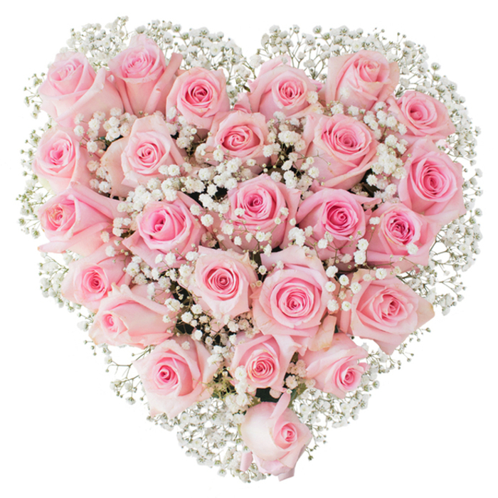 A lush, heart-shaped composition of soft pastel roses sits centered on a stark white field, the shape rendered with near architectural precision. Two to three dozen pale pink roses - some still cup-closed, some breathing open into layered spirals - form a dense, continuous carpet of petals whose velvety surfaces reflect a soft, diffused studio light. The roses vary slightly in tone from the palest blush to a more saturated pink in their centers, producing a gentle ombré that feels warm and affectionate rather than flashy. Interwoven through this rosy mass, innumerable sprigs of white gypsophila act like a diaphanous veil, their miniature blooms creating tiny highlights and a feathered texture that frames and accentuates the overall heart. Up close, you can imagine the faint green of short stems and the careful wiring or foam support hidden beneath to maintain the perfect silhouette without stressing blossoms. The effect is intentionally romantic and refined - the kind of arrangement a florist might recommend for an elegant anniversary, an intimate bridal table, or a dignified expression of sympathy. The arrangement's clear lighting and pristine background emphasize freshness and craftsmanship, inviting viewers to notice small details: petal edges soft with moisture, subtle scent notes of tea-rose, and the precise rhythm of bloom sizes across the heart. Thoughtful and tender, this bouquet carries a quiet intimacy that would suit delivery across Oxford, whether to a riverside cottage near Magdalen Bridge or a townhouse by the Covered Market.