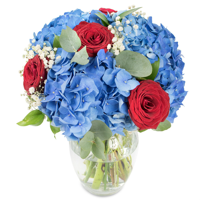 A striking, carefully constructed floral arrangement rests in a transparent glass vase against a crisp white background, crafted with attention to balance and texture that a seasoned Oxford florist would recognise. The bouquet is built around abundant clusters of rich azure-blue hydrangeas; each cluster is composed of dozens of tiny petals that together create a plush, voluminous foundation reminiscent of a soft summer cloud. Threaded through this cool expanse are three vibrant red roses, their velveteen petals tightly coaxed into classic spirals that read as bold, romantic accents against the hydrangea's cool tones. Scattered throughout are delicate sprays of white baby's breath, their fine, lacy clusters acting as a softening veil and lending an airy lightness to the composition. The foliage selection - predominantly rounded, muted-green eucalyptus leaves and fresh emerald stems - adds structure, a faint herbal fragrance, and a calming counterpoint to the saturated blooms. The clear vase, with a gently curved base and a tapered rim, displays the cleanly cut stems submerged in water, reinforcing the bouquet's freshness and the floristry skill behind it. Bathed in bright, even light, the colours read true and saturated; the arrangement feels both contemporary and timeless, equally at home as a centrepiece for a gathering in Jericho or Summertown or as a considered gift to celebrate a milestone or express admiration.