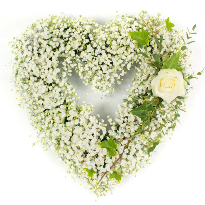 A meticulously arranged heart composed almost entirely of white Gypsophila fills the frame against a pristine white background, its many tiny blossoms forming a seamless, pillowy surface that suggests both tenderness and enduring devotion. The compact, cloud-like texture of the baby's breath creates a soft, voluminous heart shape whose edges remain true and well-defined; this careful density is what gives the piece a monumental yet gentle presence at a memorial table. On the upper right curve a single cream-white rose sits as an elegant, composed focal point-its petals unfurling in a sculpted spiral, pristine and slightly warmer at the centre-offering a human touch of intimacy within the formal design. Complementing these whites, rich glossy ivy leaves are tucked among the blooms, their deep green contours adding contrast and a sense of permanence, while slender, pale-green eucalyptus-like sprigs cascade diagonally down the right side to introduce texture, soft scent, and a subtle, silvery tone. The lighting is bright and even, intentionally chosen to highlight petal detail, leaf veining, and the careful craftsmanship of the florist. As Flowers Oxford we often prepare this style of tribute for families seeking a classic expression of sympathy-appropriate for funeral services, church memorials in St Giles, or quiet commemorations by University Parks-where the symbolism of innocence, respect, and tranquil remembrance matters most. The overall impression is one of calm grace: understated, pure, and thoughtfully composed to reflect heartfelt condolence.