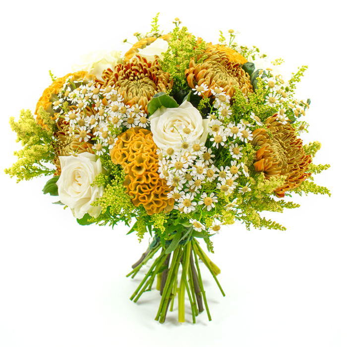 The image shows a lush, autumn-inspired bouquet held upright and carefully framed against a bright white background, allowing every nuance of colour and texture to stand out. The blooms are gathered in a rounded, domed shape, the stems tightly bound in neat green florist's tape, suggesting a freshly finished hand-tied design from an Oxford studio. At the heart of the arrangement are showy chrysanthemums in burnished tones of golden yellow, amber, and warm rust, their densely layered, slightly spiky petals creating a sense of movement and depth, like swirling leaves along the High Street in late October. Nestled amid these are several creamy white roses, their petals gently furled and softly luminous, adding a classic, romantic counterpoint to the bolder autumn shades. Distinctive yellow-orange celosia cockscombs, with their velvety, undulating crests, introduce an element of surprise and sculptural interest, almost like tiny pieces of coral tucked between the petals. Sprinkled through the bouquet are delicate, daisy-like clusters of matricaria, each tiny white petal encircling a bright yellow centre, giving the impression of carefree wildflowers and lending a fresh, countryside feel. Feathery sprays of lime-green solidago and an assortment of lush foliage in varying green tones provide fullness and a vivid frame, lifting the bouquet and making the warmer colours appear even richer. The lighting is soft but clear, revealing subtle shadows and highlights on every bloom. This design feels both cosy and sophisticated, perfect for an intimate dinner table in Jericho, a seasonal gift delivered to a college on St Giles', or a warm thank-you gesture anywhere across Oxford, evoking harvest gatherings, home comforts, and thoughtful connection.