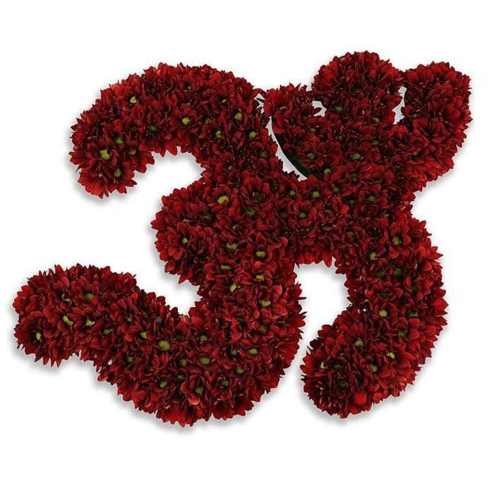 A bold, meticulously assembled floral numeral '33' crafted from hundreds of tiny, deep burgundy chrysanthemums, each bloom tucked tightly against its neighbour to form two plush, tactile threes. The surface reads like velvet: many layered petals creating a dense, velvety plane of crimson and oxblood tones, interrupted here and there by small, bright green centres that give the whole composition a discreet, natural highlight. Placed on a clean white background, the sculpted numbers cast a faint, diffused gray shadow suggesting they hover just above the surface, which enhances their three-dimensional presence and invites the eye to travel along each elegant curve. The scent-if the arrangement were nearby-is imagined as that of fresh button chrysanthemums: faintly earthy with a cool, green undertone rather than overt perfume, comforting for a birthday, anniversary or commemorative display. The craftsmanship shows an experienced hand used to working for local events around Broad Street and Christ Church Meadow, where a piece like this balances pageantry and restraint. Created with the same attention to proportion and texture that a long-standing Oxford florist brings to civic celebrations, the floral '33' carries an air of significance-festive without flash, solemn without heaviness-ready to mark a thirty-third birthday, a milestone anniversary, or to stand as a dignified memorial tribute during a quiet service near Magdalen Bridge. Flowers Oxford prepared it with an eye for clarity and enduring colour, ensuring the numerals read cleanly in photographic or ceremonial settings.