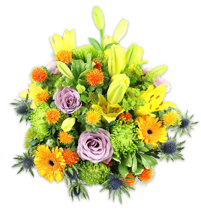 Presented against a spotless white field, this abundant, mounded bouquet reads like a lively stroll through a sunlit Oxford flowerbed. Several radiant yellow Asiatic lilies form the upper register-some wide open, their speckled interiors and stamens visible, others still as long, pale chartreuse buds that push the eye up and outward. Nestled among them are two soft lavender-purple roses whose tightly wound centers unfurl with calm elegance, creating a gentle focal pause. Bold orange Gerbera daisies fan flat petals from darker centres, their faces like small suns amid the cooler tones, while lime-green button chrysanthemums supply a dense, textured cushion that fills and softens the arrangement. Sprays of small, spiky globe blooms in orange and golden-yellow-suggestive of Craspedia or similar accents-add lively punctuation, and several indigo-blue, steel-toned Eryngium thistles emerge along lower edges to lend an architectural, slightly rustic contrast. Lush foliage-broad lily leaves and varied glossy fillers-provides depth, shadow and a natural frame, tying the colours into a cohesive whole. The bouquet's textures range from velvety rose petals to crisp lily edges and the prickly, sculptural thistle heads; under soft studio lighting these textures read clearly and invite touch. Crafted with the care you'd expect from a neighbourhood florist in Oxford-whether sending to friends near Jericho, leaving on a doorstep by the Covered Market, or brightening a table at the Botanic Garden-this arrangement from Flowers Oxford blends celebration, comfort and contemporary floral artistry with a scent profile that is fresh, subtly sweet and green.
