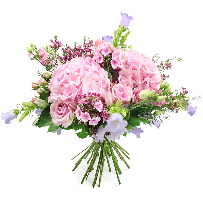 Set against a bright white backdrop, this abundant bouquet showcases a harmonious blend of pink, lavender, and fresh green tones, arranged in a full, rounded style. Two prominent clusters of blush pink hydrangeas dominate the composition, their dense heads formed from countless small petals that create a soft, pillowy surface, like delicate fabric gathered into gentle folds. Nestled among them are elegant light pink roses, some blooms fully unfurled with perfectly spiralled centres, others still held in tighter buds, offering variation in size and shape that brings the design to life. Rising gracefully between the hydrangeas and roses are slender stems of bell-shaped flowers, likely campanula, in periwinkle and soft lavender hues. These airy, nodding bells introduce height and an almost ethereal touch, reminiscent of cottage gardens around Headington or the peaceful planting in Oxford's hidden courtyards.
Scattered between the larger blooms are clusters of smaller, deeper pink flowers, possibly waxflower or phlox-like sprays, adding flecks of fuchsia and magenta that lend depth and a gentle vibrancy. Fresh green foliage, along with tender buds yet to open, is woven generously throughout, framing the blossoms and providing a crisp contrast to the pastel petals. The stems at the base are clearly visible, neatly gathered and trimmed, emphasising the hand-tied craftsmanship that a local Oxford florist might prepare for delivery across the city. The lighting is soft and even, highlighting textures without harsh shadows, so every petal and leaf appears vivid and true to life. The bouquet as a whole conveys warmth, joy, and refined romance, making it suitable for celebrating anniversaries, birthdays, Mother's Day, or simply to bring a touch of Oxford's garden charm indoors at any time of year.