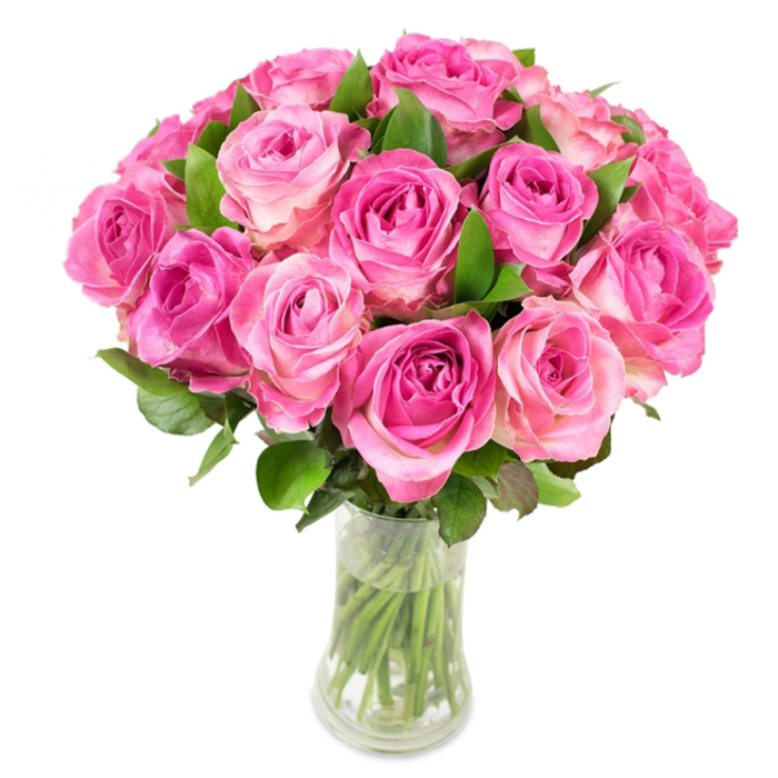 A vivid, full-bodied bouquet of approximately two dozen pink roses is arranged in a clear, gently curved glass vase and set against a brilliant white background. Each rose unfurls from a deeper, nearly magenta heart through layers of petals that soften to blush pink and, at the very outer edges, sometimes to creamy white-creating a subtle ombré that gives the arrangement a glowing inner warmth. The blooms are gathered tightly into a rounded dome so that the spiral centres and velvety textures read as one luminous mass, while dark green leaves punctuate the composition with fresh contrast and organic movement. The vase, narrowing in the centre before widening again, reveals neat green stems submerged in clear water, the whole catching even, flattering light that highlights every fold and shadow of the petals. Imagine the gentle perfume of cut roses-sweet, green, and slightly citrus-like the scent you might notice walking through Summertown on a warm morning or pausing near Headington Hill Park. This bouquet feels both celebratory and tender: a confident romantic choice for anniversaries, a gracious gift for Mother's Day, or a comforting arrangement to mark a milestone. As an experienced Oxford florist I attend to balance and proportion so that the roses' natural beauty is the message; the simple glass vessel and pristine setting let the colour and form carry the emotion, presenting a timeless statement of affection and expert care.