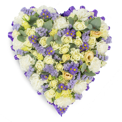 In this heart-shaped tribute the language of flowers is spoken in soft creams and gentle lavenders, each bloom chosen to comfort. Cream and pale yellow roses-tightly furled at the centre and opening outward-create a sumptuous, layered texture that reads as a warm, silent embrace. White carnations sit beneath and between them like drifting clouds, their ruffled petals adding volume and a timeless, comforting presence. Pockets of lavender-hued statice and brighter purple aster-like blossoms with sunny yellow eyes punctuate the pale palette, giving small, vivid points of colour that arrest the eye without disturbing the overall serenity. Sprigs of rounded blue-green eucalyptus are threaded through the design, their cool tone and subtle sheen offering a modern, calming counterpoint and suggesting a delicate herbal scent when the bouquet is close. The heart's edge is defined by a rich purple satin ribbon, looped and pressed to form a refined border that both anchors the piece and elevates its formality. Photographed against a pristine white background with soft, neutral lighting, the composition reads as deliberate and respectful-an arrangement created for moments of remembrance. As a local florist familiar with Oxford's neighborhoods from Jericho to the High Street markets, I craft this type of tribute to sit quietly at memorial services or to be placed by grieving families on a mantel or grave, offering a visual message of enduring affection, solace, and dignified farewell.
