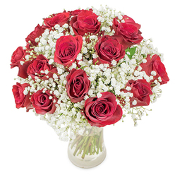 A sumptuous, domed arrangement of about 18-20 velvety red roses cradled in a clear glass vase, each bloom held open to display its layered crimson spirals. Soft clusters of white baby's breath (Gypsophila paniculata) are woven through the composition, their tiny, cloud-like flowers filling the negative spaces and lending an ethereal softness that balances the intensity of the roses. The vase's transparency reveals long, straight green stems, the natural architecture of the bouquet visible beneath the water and amplifying the sense of freshness and honesty in the design. Photographed in bright, diffuse light on a clean white surface, every petal edge catches a subtle sheen while the baby's breath appears almost mist-like, giving the composition depth and air. Tactile contrasts are clear: the lush, satin-smooth surfaces of the rose petals against the whisper-light sprays of gypsophila create a layered sensory experience, complemented by the imagined warmth of the roses' gentle fragrance. This arrangement reads as both celebratory and serene, perfect for birthdays, romantic surprises, or a polished centerpiece that communicates affection without excess. For those ordering from local Oxford neighbourhoods such as Jericho, Summertown, or along Banbury Road, the bouquet conveys familiar, timeless sentiment - a customary choice when words need the faithful eloquence of flowers.