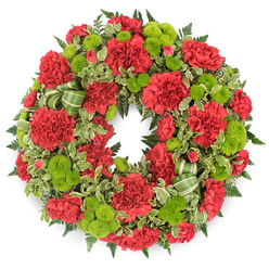Set against a clean white background, this traditional sympathy wreath forms a perfect circle of colour and texture, like a vivid halo captured in stillness. The main impression is of deep, heartfelt red and bright, life-affirming green. Plump red carnations dominate the design, their petals finely ruffled and overlapping, creating a soft, almost velvety surface you can imagine brushing with your fingertips. Some blossoms are at their fullest, others just opening, which gives the wreath a natural, breathing quality rather than something rigid or formal. Nestled between the reds are lime green button chrysanthemums, small and globe-shaped, their tightly packed petals lending a playful, cushiony look. The vibrant green sits sharply against the crimson, a reminder of new growth and spring foliage along the paths by the River Cherwell. Around and beneath the flowers, a generous layer of greenery builds depth. Dark, fern-like fronds stretch delicately outward, while variegated pittosporum leaves, with creamy edges and darker centres, introduce a gentle pattern that catches the light. A subtly looped ribbon in soft and darker greens threads through the lower section, echoing the foliage and adding a crafted, personal touch. The overall mood is one of dignified remembrance with a quiet hint of renewal, making this wreath ideal for a funeral at one of Oxford's historic churches or a memorial service held in a family home. It feels like a floral embrace: respectful, comforting, and thoughtfully composed for saying a last, loving goodbye.