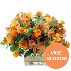 A warm, sunlit palette of flowers is arranged with care in a clear, square glass vase, set cleanly against a white background so that every colour and texture can be fully appreciated, much like pausing to admire a flower stall near Oxford's Covered Market. Dominating the composition are plush orange roses, some with petals that gently shift from tangerine at the tips to soft yellow toward the heart, giving the impression of tiny sunsets unfolding in each bloom. Among them, bright yellow garden roses sit slightly more compact, their tightly arranged petals creating perfect, rounded cups that add a sense of order and calm. Between the roses weave numerous peach and light orange alstroemeria, with slender, arching stems and petals elegantly marked with fine stripes and dots of deeper rust and cinnamon, providing an airy contrast to the fuller blooms. Scattered throughout the bouquet are small, boldly textured orange spheres, likely safflower or thistle-like heads, their spiky surface lending a playful, tactile quality that keeps the arrangement from feeling too formal. Encircling the vivid flowers, a mixture of dusky eucalyptus and lush green foliage adds volume and a cooling undertone, reminiscent of the shaded paths of Port Meadow on a summer evening. The sturdy square vase holds the stems neatly, and around its middle sits a band of natural burlap or jute ribbon, adding a handcrafted, rustic detail that suggests care and authenticity. In the bottom right of the image a round orange graphic with white text declares VASE INCLUDED, signalling that this cheerful, autumn-tinged arrangement arrives as shown, ready to be placed on a kitchen table, office desk, or reception counter anywhere in Oxford, from Jericho to Headington.