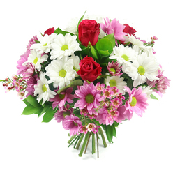 This image shows a beautifully rounded bouquet, photographed against a pure white backdrop so that every colour and contour stands out with clarity. At its heart, two sumptuous red roses draw the eye, their rich, velvety petals tightly spiralled like finely folded fabric, radiating a sense of romance and deep appreciation. Encircling the roses is a lively ring of white daisy-style chrysanthemums, each one centred with a striking lime-green disk that adds a dash of brightness and energy, echoing the fresh, open feel of Oxford's green spaces from Christ Church Meadow to the Botanic Garden. Interwoven among the white are numerous pink chrysanthemums, shading from gentle blush to warmer, medium pink, each mirroring the same green centres so the bouquet feels thoughtfully coordinated and calm. Threaded throughout are airy sprigs of pale pink waxflower, their tiny, starry blooms and thin stems lending a delicate, countryside charm, as if they had been gathered from the hedgerows just beyond Headington. Rich green foliage forms a supportive collar around the flowers, some leaves broad and slightly glossy, others more slender and fresh, providing depth and a strong yet subtle frame for the brighter blooms. The stems are neatly trimmed and tightly tied at the base, clearly showing this is a hand-tied bouquet ready for a vase in a North Oxford townhouse or a Cowley Road flat. The arrangement carries an emotion of gentle celebration-ideal for marking exam results, saying "well done" on a promotion, or offering comfort and encouragement. It feels like a bouquet crafted by a local florist who understands Oxford's rhythm, blending classic romance with modern, easy elegance.