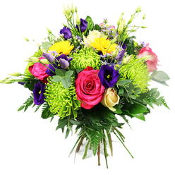 Set against a clean white backdrop, this exuberant mixed bouquet looks like a little Oxford garden gathered into two hands. The design forms a rounded, hand-tied cluster where hot pink roses take the starring role, their velvety petals spiralling open in lush layers that conjure the romance of a stroll along the River Thames by Folly Bridge. Around them, lime-green spider chrysanthemums explode in fine, slender petals, giving the arrangement a playful, almost architectural texture and a vivid splash of chartreuse. Dotted through the design, deep purple and indigo lisianthus lend an air of refinement, their bell-shaped blooms and gently curled buds reminiscent of old college borders in early summer. Sunny yellow gerbera-like daisies beam out from the foliage, lifting the mood with every glance, while a single creamy yellow rosebud offers a quieter, more contemplative note near the base. Pale pink and lavender filler flowers tuck into the spaces between the larger stems, adding softness and a sense of natural wildness, the way small meadow flowers peek between paving stones off Cowley Road. Upright white buds and slender green shoots provide vertical movement, leading the eye upwards. A rich collar of greenery surrounds the flowers: dark, glossy leaves, light eucalyptus-style sprigs, and airy fern fronds together creating depth and a sense of freshness, as though just arranged in a local Oxford studio. The bouquet feels dense, vibrant, and celebratory-perfect for marking an exam success, a birthday in Summertown, or sending a bright message of appreciation with same-day delivery across the city.
