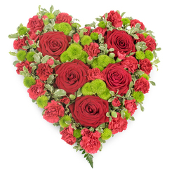 A luxurious heart-shaped floral tribute, designed as if to cradle a message of love, fills the frame against a clean white background. The shape is precise and symmetrical, created by expertly layering flowers so that the heart looks full, rounded, and complete from edge to edge. Large, deep red roses are spaced thoughtfully throughout the arrangement, their velvety petals curling inward like tiny cups of colour, symbolising enduring affection. Around them, smaller red spray carnations and mini carnations cluster closely together, their frilled petals giving the design a rich, textured surface that softens the bold outline of the heart. Threaded among the reds are vivid lime-green button chrysanthemums, each one a neat little globe that brightens the composition and adds a gentle, contemporary twist. Subtle touches of variegated foliage, green with creamy white edging, appear between the blooms, echoing the greenery you might see in the gardens and college quads around central Oxford. A graceful fern frond emerges from the point of the heart, leading the eye downward and giving the arrangement a natural, flowing finish. The flowers appear fresh and carefully conditioned, suggesting they have been prepared for a same-day funeral or memorial service nearby. This tribute, the kind often requested for farewells at Oxford crematoriums or local parish churches, feels quietly dignified yet full of emotion. It would be chosen by someone wishing to send a clear, heartfelt message of love, remembrance, and respect, using the language of flowers to say what words sometimes cannot.