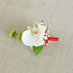 A refined floral boutonniere lies carefully positioned on a pale beige, linen-like fabric, the natural, slightly irregular weave suggesting a relaxed yet elegant setting, like a softly lit Oxford townhouse on a wedding morning. The focal point is a large white phalaenopsis orchid, its petals broad, smooth, and gently curved, almost cupping the light so that each edge appears delicately highlighted. At the centre of the orchid, the throat reveals subtle shifts of colour: soft yellow deepening into warm reddish-orange or light brown markings that add complexity to its otherwise pure white face. Encircling this main bloom, wisps of white baby's breath drift like tiny clouds, their miniature blossoms lending a feathery, romantic texture. To the left, two compact lime-green chrysanthemum buds, round and slightly spiky, introduce a lively jolt of colour and an interesting texture contrast, much like fresh new growth in an early-spring Oxford garden. A deep green leaf spreads beneath the arrangement, its surface rich and glossy, acting as a supportive backdrop that anchors the lighter flowers. A smaller, more shadowed leaf is tucked nearer the base, partially hidden by the wrapping. The stems are bound in a smooth, crimson red satin ribbon, wrapped with precision and finished in a tidy knot or subtle bow just under the heads of the flowers. This ribbon adds a vivid, celebratory note that hints at formal attire and special vows. The overall effect is one of polished simplicity and quiet confidence, perfect for a groom, best man, or wedding guest attending a ceremony near the High Street or around the dreaming spires of central Oxford.