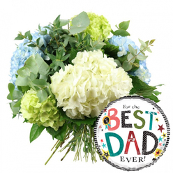 Set against a pure white studio background, this image captures a warm, joyful Father's Day bouquet paired with a playful "For the BEST DAD EVER!" balloon, creating a scene that feels both polished and personal. Filling the upper left of the frame, a lush cluster of hydrangeas forms a rounded, almost cloud-like shape, the kind of full, abundant bunch you might see carried home from Oxford's Covered Market. The central blooms are creamy white hydrangeas, their tightly packed petals giving a soft, cushioned look. Around them, a scattering of light-blue hydrangea heads lends a cool, tranquil note, while zesty lime-green hydrangeas tucked at the edges bring a lively burst of colour, suggesting new beginnings and fresh energy. Silvery-green eucalyptus stems arc gently through the bouquet, their rounded leaves and subtle blue-grey hue adding texture and a whisper of clean, aromatic scent, complemented by darker green foliage that anchors the arrangement. The long green stems at the base are gathered neatly, making it clear this is a hand-tied gift bouquet, ready to be delivered across Oxford, from Jericho to Headington. On the lower right, overlapping the flowers, a glossy round foil balloon adds a fun, graphic contrast. Its white centre is bordered with smart black-and-white stripes, while the phrase "For the BEST DAD EVER!" bursts across the balloon in bold, patterned letters of red, teal, green, and black. A tiny "No. 1" rosette and a scattering of colourful stars and confetti dots dance around the text, echoing the sense of pride and gratitude. Together, the cool hydrangea tones and the bright balloon create an image that feels like a heartfelt thank-you to a much-loved father in Oxford.
