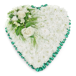 Elegant heart-shaped sympathy tribute composed almost entirely of pure white chrysanthemums, their small, rounded petals forming a continuous, velvety blanket of blooms. The heart is presented on a clean white background so its contours are clearly defined, and the fresh white flowers glow softly as if under gentle daylight. A vivid emerald green satin ribbon trims the edge, pleated into a ruffled, scalloped border that creates a refined frame and adds depth and structure to the design. Nestled into the upper left curve of the heart is a softly asymmetrical accent spray: two creamy white roses in full bloom, their layered petals opening like a quiet sigh, rest among delicate white buds and airy blossoms similar to freesias. Rich green leaves and light, feathery fronds extend from this cluster, some trailing lightly across the chrysanthemum base to break the surface and suggest a natural garden feel. The overall mood is hushed and contemplative, evoking the stillness of an early morning walk along the Thames in Oxford or through the peaceful paths of Port Meadow. This floral heart would be a fitting tribute for a funeral or memorial service at a local Oxford church, crematorium, or cemetery, conveying deep affection, respect, and gentle condolences when words can feel inadequate. Its classic combination of white flowers and green ribbon makes it a timeless choice for honouring a loved one's memory with dignity and grace.