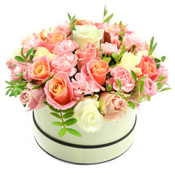 Imagine a compact, domed bouquet set into a pale cream hatbox with a soft matte surface, its silhouette outlined by two narrow dark bands around the rim and base. The arrangement reads as a single, abundant blossom: a layered chorus of roses and carnations in a palette of coral-peach, apricot, blush pink and creamy ivory. The larger roses, some unfurling fully and others kept in tighter buds, show a luminous gradient-warm, sunlit centres that melt outward to tender pink edges-while clusters of frilly, light pink carnations fill the spaces between with plush texture and delicate movement. Scattered sparingly are sprigs of crisp green foliage with small, lance-shaped leaves that provide fresh punctuation and depth, as if plucked from a garden by the Botanic Garden gates. The overall surface is lush and velvety, petals overlapping in gentle waves; soft daylight lends a subtle sheen and reveals the tiny veins and ruffles that give each blossom personality. The scent is described as lightly powdery and sweet, unobtrusive but evocative-perfect for a table centrepiece at a celebratory lunch in Jericho or a heartfelt gift carried through town to celebrate a milestone. Designed with an eye for balance and intimacy, the box feels elegant yet unpretentious, an ideal companion for birthdays, anniversaries, or quiet moments when you want to say 'I'm thinking of you' with floral grace.