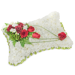 A tender memorial cushion, shaped as a soft rectangular pillow, composed of hundreds of pristine white chrysanthemum heads that create a dense, fleece-like surface-a texture that reads immediately as comfort and repose. The pillow's perimeter is traced with a narrow band of pale green satin ribbon that peeks between blooms to give a subtle, refined edge. Positioned at the top-left is a vivid floral spray of deep red roses and dark burgundy carnations; the roses show a range of openness, their velvety petals catching soft light, while the carnations' layered ruffles provide richness and shadow. Scattered among these are tiny white freesias or spray blossoms that introduce lightness and a delicate fragrance. A backdrop of lush greenery-ferny fronds and broader glossy leaves-lends depth and contrast, and three sweeping arcs of bright green bear-grass or similar foliage extend from the cluster across the chrysanthemum field toward the lower right. These graceful lines lead the eye to a solitary red rose placed near the bottom-right, as though the bloom has been gently laid in repose. The overall effect is quiet, respectful, and carefully composed; the scent is subtle, the texture soft underhand. As a local florist I've placed similar cushions for families at services in Jericho and near the Covered Market, and Flowers Oxford can prepare this arrangement for local delivery across Oxford when requested. It is a classic, heartfelt expression of sympathy meant to comfort and honour a cherished memory.
