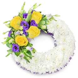 There is a practiced tenderness in this circular sympathy wreath: a continuous band of small, immaculate white spray chrysanthemums so tightly arranged they form a plush, cloud-like foundation, the texture inviting a gentle touch and quiet reflection. From the upper left quadrant a cluster of colour arcs gracefully over the white - several sunlit yellow roses in full bloom, their spiralled petals suggesting warmth and remembrance, accompanied by deep purple lisianthus (Eustoma) whose satiny, ruffled cups bring a cool, elegant counterpoint. A few unopened lisianthus buds in pale lavender and soft green add the natural pauses you find in fresh gardens. Interwoven foliage - glossy rounded leaves, slender fern fronds and hints of variegation - gives structure and calm contrast, separating and supporting the bright flowers. A discreet dark-purple mesh ribbon is visible beneath the chrysanthemums, tracing the wreath's inner and outer curves and quietly mirroring the lisianthus tones. Imagine this arrangement placed for a memorial in a side chapel near the Covered Market or on a remembrance table at a service in Jericho: it reads as composed sympathy, neither ostentatious nor stark, its white base conveying peace while the yellow and purple accents speak of cherished friendship and thoughtful farewell. As a florist working in Oxford, I choose materials and proportions to ensure the piece is balanced from every angle, a comforting, handcrafted tribute that holds memory with humility and care.