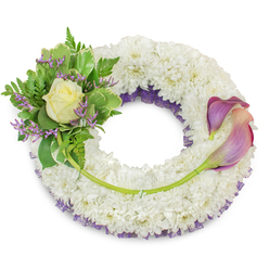 An elegant circular funeral wreath, hand-crafted with a dense, cloud-like base of pure white chrysanthemums whose tiny florets are closely packed to give a plush, velvety texture. A layer of deep purple netting is just visible beneath the outer petals, peeking along the inner rim to add a dignified contrast and subtle depth. At the upper-left, a compact, artful cluster features a single creamy rose - soft cream to pale yellow - gently unfurling at its centre, surrounded by a mix of glossy green foliage, variegated leaves with pale margins, and soft, feathery fern fronds. Sprigs of small lavender-hued statice are woven through this greenery, their papery buds lending a delicate, calming note. On the right-hand side two elegant calla lilies sweep across the wreath from roughly two o'clock to five o'clock, their sculptural forms displaying a graceful gradient from rich purple at the tips to blush-peach tones nearer the stems; their vibrant green stalks are tucked neatly into the chrysanthemum base, creating a flowing line that guides the eye. A single long green stem extends from the left cluster across the lower curve, discreetly secured and pointing toward the callas' bases. Prepared with the quiet care you'd expect from a local Oxford florist, this wreath - available for local delivery across Oxford and areas such as Jericho and Banbury Road when needed - conveys reverence and comfort, the white, purple, cream, and green palette offering a serene expression of memory and respect.