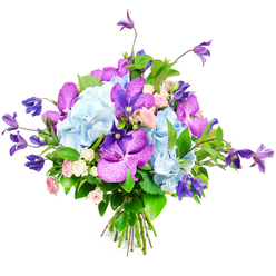 Set against a crisp white backdrop, this luxurious bouquet looks as if it could be displayed in an Oxford High Street boutique window, every detail carefully composed. Voluminous heads of pale sky-blue hydrangea dominate the centre, their countless tiny petals forming generous, ruffled domes that suggest softness and abundance. Woven through their pastel calm are vivid fuchsia and deep purple orchids, the kind of Vanda or Phalaenopsis blooms that captivate with intricate speckles and fine, lace-like veining. These orchids add a distinctly exotic flair, as if a piece of a tropical conservatory had been slipped into a classic English arrangement. Rising and trailing through the design, slender purple clematis flowers add height and dynamic lines, their graceful stems and star-shaped blooms giving the piece a touch of natural wildness reminiscent of the climbing vines along old stone walls in Oxford's historic colleges. Around them, tiny roses in gentle shades of blush pink and creamy white are tucked with intention, their rounded buds and layered petals exuding romance and tenderness. A collar of lush green foliage, including smooth, glossy leaves and softer fronds, supports and frames the colourful flowers, enhancing their brightness without overpowering them. The hand-tied stems are visible at the base, neatly bundled as if ready for delivery to a townhouse off Banbury Road or a cosy home in Summertown. This bouquet feels both refined and welcoming, ideal for celebrating milestones, sending congratulations after exams, or simply bringing a sophisticated burst of colour to any Oxford home.