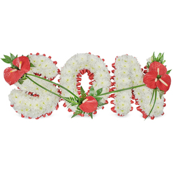 A large, three-dimensional floral tribute spelling "SON" rests against a pure white backdrop, its thoughtful craftsmanship immediately evoking love and remembrance. Each letter is densely filled with pristine white chrysanthemums, their layered petals forming a plush, cloud-like surface that looks almost velvety to the touch, like fresh snow settled on the lawns of Oxford's college quads on a quiet winter morning. Around the edges, a deep red satin ribbon runs in soft scallops, framing the contours of the 'S', 'O', and 'N' with a rich, lustrous outline that gently ripples in the light. Vivid red anthuriums, with their distinctive heart-shaped spathes and upright spadices, bring powerful accents of colour and emotion: a generous spray of several blooms and glossy greenery sits proudly on the upper left of the 'S', a single anthurium nestles within the lower right curve of the 'O', and a fuller cluster, interwoven with dark green leaves and airy fern fronds, adorns the upper right of the 'N'. Fine green stems and leaves drift across the white flower bed, subtly connecting each red focal point, as though joining memories shared over years of family life in neighbourhoods from Headington to Cowley. The clean, white background isolates the tribute, encouraging attention to the interplay of textures and the heartfelt word it spells. It is clear this arrangement is intended for a funeral or memorial service in or around Oxford, a bespoke sympathy piece designed to rest alongside other condolence flowers, honouring a beloved son with grace, solemn beauty, and a sense of gentle, enduring peace.