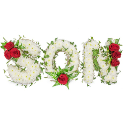 A poignant, bespoke memorial arrangement carefully spells 'SON' in three sculpted capital letters, presented on a clean white background and designed to convey quiet dignity. Each letter is built from hundreds of small, immaculate white spray chrysanthemums, packed closely to form a pillow-like surface that suggests calm, purity and a touch of solemn grace. Winding through the white are strands of deep green ivy and supportive foliage, the leaves adding texture, contrast and the symbolism of enduring life. The composition is set with strategic accents of deep red roses: the 'S' bears a trio of rich red blooms tucked into its upper left curve with dark glossy leaves alongside; the 'O' carries a single, strong red rose at its bottom centre, surrounded by feathery fern fronds that soften the focal point; and the 'N' is edged by a vertical cluster of three red roses on its right side, grounding the word with passionate colour. Bathed in soft, natural daylight, the chrysanthemums' creamy faces and the velvety rose petals show fine detail and gentle shadowing. The scent is subtle - the clean, green lift of chrysanthemums warmed by the warm spice of roses - a fragrance that might be noticed in a quiet corner of Jericho or near St Giles on a still morning. Crafted by Flowers Oxford with neighbourly care, this sympathy piece is suited to funeral services, graveside tributes or memorial displays, expressing deep love and compassionate remembrance.