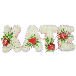 A carefully constructed memorial display reads KATE in bold capital letters, each letter entirely covered with a dense, even layer of small white spray chrysanthemums that give a plush, tactile surface and an overall impression of serenity. The chrysanthemums' crisp white contrasts subtly with a frilled, pale pink ribbon that outlines every letter, its soft pleating lending definition and a gentle, consoling blush. Set into the white base are clusters of vivid red anthuriums whose glossy, heart-like forms and bright spadices create immediate focal points and a warm, dignified accent. Rich green foliage - broad glossy leaves, sprigs of fern and slender trailing vines - is artfully arranged around and between the letters, adding depth, balance and a natural, living rhythm that ties the composition together. The letters are slightly separated and float against a clean white field, their soft drop shadows giving a modest three-dimensional lift. Imagine this tribute standing quietly at a funeral chapel, a crematorium service or a small church near Summertown or Jericho, radiating a calm presence without overwhelming the space. The arrangement suggests a faint, fresh green scent and a delicate tactile contrast between the chrysanthemum cushions and the smooth, waxy anthurium petals. Designed for sympathy and remembrance, this personalised floral name tribute communicates respect, love and enduring memory, and is suited to florists offering thoughtful delivery across Oxford, including same-day options for close family members attending local services.