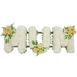 Set against a clean white studio-style background, this elegant funeral flower arrangement forms the word MUM in bold, block capital letters, each letter shaped with precision and care. The entire surface of the three letters is densely massed with pristine white spray chrysanthemums, their many small florets snugly overlapping so no gaps in the design are visible. The chrysanthemums create a velvety, pillow-soft appearance, their pure white tone suggesting peace and reflection. Along the outer edges, a slim dark green framework or ribbon can be glimpsed, quietly defining the contour of each letter and hinting at the secure mechanics beneath. Soft colour is introduced through three delicate groupings of roses. On the upper left edge of the first M rests a cluster of warm peach and blush pink roses, mingled with tight rosebuds and sprigs of rich green foliage. A second cluster sits at the base of the central U, softening the curve where the letter meets its hidden support. The third cluster mirrors the first at the top right of the second M, completing a gentle visual rhythm from left to right. Fine fern fronds and glossy leaves add texture and depth, like tiny garden details preserved within a formal tribute. Crafted in the style favoured by many Oxford families, this design would be at home on a hearse leaving from Summertown, resting by the altar in a city church, or placed beside a photograph at a celebration of life. The calm whites and tender peach tones evoke love, comfort, and dignified farewell for a beloved mother.