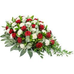 Set against a plain white background, this sympathy floral spray appears like a gentle current of flowers flowing from left to right. The design has an elongated, mounded profile, with a fuller, rounded cluster on the left that subtly tapers to a refined, trailing tip on the right, giving a sense of quiet movement and direction. Deep red roses dominate the piece, their velvety petals tightly layered and rich with colour, symbolising deep affection and heartfelt loss. Interspersed among them are generous groups of white carnations, each bloom full and ruffled, adding a soft, pillowy texture and a serene brightness that contrasts beautifully with the red. These blooms are anchored by a bed of varied greenery: glossy, dark green leaves create a strong, supportive foundation, while cool-toned eucalyptus leaves bring a silvery, almost smoky touch that softens the arrangement and hints at a gentle, herbal fragrance. Along the right edge, slender tendrils of trailing foliage extend beyond the main body of the spray, giving it an airy, cascading finish. The overall impression is one of respectful elegance, like the hushed atmosphere of an Oxford church or a quiet corner of Christ Church Meadow on an overcast day. This piece feels perfectly suited for resting on a casket or placed as a central tribute at a memorial service in Oxford, offering a visual expression of sympathy, remembrance, and love that endures beyond the moment of farewell.