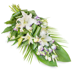 A refined teardrop-style sympathy spray of white lilies and lisianthus is laid out on a seamless white background, its graceful diagonal line suggesting a natural flow from remembrance to release. The composition begins with a fuller gathering of blooms at the upper left, where several oriental lilies open generously, their creamy white petals arching outward like quiet gestures of blessing. Some lilies remain as elongated, pale green buds, still closed yet full of promise, adding a contemplative rhythm to the piece. Weaving among them are clusters of lisianthus, their white bell-shaped petals trimmed with delicate lavender and light purple edges, as if brushed with watercolour. Tiny, tight buds dot the arrangement, creating depth and nuance, much like the intricate stonework details you notice wandering Oxford's old lanes near the High Street or St Giles'. Surrounding the flowers is an artful mix of lush green foliage: broad, glossy leaves form a stable foundation, while others are skillfully rolled and looped into elegant, sculptural accents at the centre. From the right and lower sections, long, fine fronds extend outward in soft arcs, giving the spray its elongated silhouette and a sense of gentle movement, like leaves stirred by a breeze in University Parks. The interplay of deep green and pure white creates a calm, respectful palette, with the hint of lavender introducing a quiet note of tenderness. The overall feeling is one of composed sorrow and love-a thoughtful funeral tribute suitable for a church, crematorium, or graveside service anywhere in and around Oxford, offering a serene, flower-filled farewell.