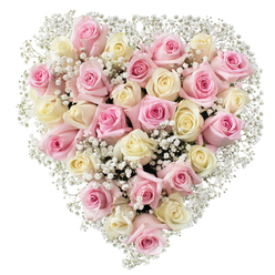 In the stillness of a bright white background, a full heart-shaped floral arrangement emerges, its shape unmistakable and its composition crafted with the artistry found in Oxford's independent florists. Around three dozen roses, in soft hues of blush pink and creamy, pale yolk-tinted white, knit closely together to form the heart's structure. The petals, impossibly smooth and rich in texture, form a gentle spiral, suggesting a story unfolding petal by petal. Wisps of delicate white baby's breath peek between the generous roses, their tiny blooms reminding one of spring mornings by the Radcliffe Camera. Every detail has been attended to: the roses are at different stages, from promising tight buds to lush, open faces, representing the ebb and flow of emotion that accompanies life's significant milestones. The bouquet's soft pastel palette, heightened by crisp lighting, underscores sentiments of love, remembrance, and gratitude that often fill Oxford homes and gathering spaces. Whether chosen as a tribute for a quiet service in Jericho or as a gesture of deep love for someone dear, this arrangement radiates comfort, peace, and the quiet reassurance of flowers grown and arranged close to home.