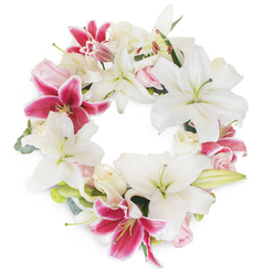 Bathed in gentle light, a sumptuous memorial wreath rests against a pristine white backdrop, capturing the artistry and sensitivity of Oxford's local florists. Immense, snowy white lilies open gracefully, their wide petals and pale green stamens beautifully symbolizing tranquility and hope. Among them, vivid fuchsia lilies pepper the composition with pulses of deep magenta, reminiscent of springtime blossoms near Oxford's Port Meadow, standing out as vibrant accents in the soothing palette. Delicate blush pink and creamy-white roses nestle between the lilies, some tightly closed in anticipation, others just beginning to open, their romantic softness evoking intimate farewells and gentle remembrance. Wisps of fresh green foliage-perhaps eucalyptus, with its classic silvery sheen-thread around the blooms, providing subtle structure and a natural touch reminiscent of garden walks beside the Cherwell. The wreath's seamless, unbroken circle creates a visual metaphor for eternal memory and the enduring bonds within the Oxford community. This composed, thoughtful arrangement is ideal for memorial services at local venues like St Mary's Church or peaceful garden ceremonies, honouring life with dignity and heartfelt care. One can almost sense the soft, calming fragrance rising from the lilies and roses, offering comfort, solace, and a quiet celebration of a life well lived.