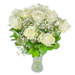 There is a quiet poetry in this hand-tied bouquet: twelve immaculate white roses, each with creamy petals unfolding at its own pace, encircled by innumerable delicate clusters of baby's breath. Set in a simple clear glass vase against a clean white background, the composition feels both classic and intimate. Some roses have opened wide, exposing soft concentric whorls of petals with a subtle ivory blush, while others remain coyly closed, lending a sense of unfolding narrative. The baby's breath-fine, cloud-like sprigs-threads through the arrangement, adding a gauzy texture that makes the larger blooms appear to float. Beneath, a foundation of rich green foliage, from deep forest to bright spring greens, gives the bouquet depth and a refreshing counterpoint to the pale flowers. The trimmed stems show through the vase, the water crystal clear, reinforcing the freshness and care invested in each stem. Diffuse daylight gently polishes the petals, creating a soft sheen without glare and invoking a calm morning in a sunlit kitchen or a tranquil conservatory. The scent is subtle: a clean, floral whisper that complements rather than overwhelms. Such a bouquet suits birthdays, anniversaries, or an unspoken 'thinking of you'-a classic choice that reads as sincerity and quiet joy. As a florist arranging pieces for receptions or bedside tables in local homes, I choose this composition when I want to bring a composed, comforting presence into a room.