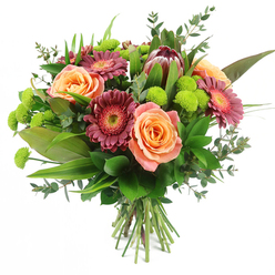 A lush, rounded hand-tied bouquet is shown against a crisp white background, every bloom sharply defined, as if it has just been lifted from a chilled display in a central Oxford flower shop. The warm heart of the arrangement is formed by generous roses in peach, coral, and soft salmon pink, each one layered with velvety petals that curl open from tight centres into full, romantic cups. Threaded between these are bold Gerbera daisies in shades of deep magenta and rich burgundy, their narrow petals radiating neatly from pale, textured central disks that glimmer slightly under the light, bringing cheer and a touch of drama reminiscent of colourful stalls at Gloucester Green Market. At the upper edge, a striking King Protea stands out, its robust, cone-shaped form made up of overlapping maroon and reddish-brown bracts, their tips brushed with blush pink, giving the bouquet an exotic, almost architectural quality. Scattered throughout, lime-green Santini chrysanthemums cluster like tiny pom-poms, their vivid colour and dense texture energising the composition and echoing the fresh, zesty feel of early spring along the River Thames. The bouquet is cradled in an abundance of greenery: glossy dark leaves lay a solid foundation, slender variegated blades rise and bend to suggest movement, and rounded eucalyptus leaves in bluish-green tones drift delicately outward, softening the edges. At the base, the stems are neatly gathered and cut to an even length, signalling skilled, professional craftsmanship. This vibrant bouquet feels both joyful and refined, perfectly suited to brighten a North Oxford townhouse, celebrate a graduation near the colleges, or send a thoughtful message of love or congratulations with reliable flower delivery across Oxford.