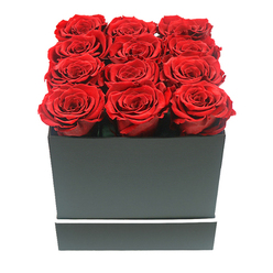 In this refined close-up, twelve sumptuous red roses sit tightly clustered in a sophisticated matte black square box, creating an image that feels at once modern and deeply romantic, like a special delivery arriving at a townhouse near Oxford's Banbury Road. The roses are preserved and flawlessly formed, arranged in three neat rows of four so that their open, cupped heads touch gently edge to edge. Each bloom displays a rich crimson colour, with velvety petals that twist and layer into intricate rosettes, their surfaces catching the soft light to reveal subtle highlights of scarlet and shadows of burgundy. There is a calm confidence to their uniformity; all twelve appear equally full and at their peak, promising long-lasting beauty without the need for water or daily care. The square gift box is a deep, smooth black, its sides crisp and straight, offering a strong, architectural frame for the softness of the flowers. A fine white stripe encircles the lower portion of the box, adding a slender ring of brightness that echoes the clean, academic lines of Oxford's libraries and quads. The entire arrangement is placed against a bright white background, allowing every detail to stand out while soft, even lighting adds just enough shadow beneath the petals and along the base to give a sense of depth. The mood is luxurious yet understated, perfect for marking an important anniversary, an elegant proposal, or a quiet apology sent across Oxford-from the historic heart of the city centre to leafy Headington-when words alone feel insufficient and a beautifully crafted floral gift must speak on your behalf.