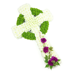 In this image, a Celtic cross funeral tribute is laid out diagonally across a flawless white background, so that the intricate floral work becomes the sole focus. The entire structure of the cross is densely cushioned with small, snow-white chrysanthemum blooms, every head turned outward so that the petals form a plush, almost quilted texture over the arms and central stem. Running through and around this white foundation, lime green button chrysanthemums create the distinctive ring and knotwork pattern of a traditional Celtic cross. These neat, spherical button heads sit slightly proud of the white blooms, giving the impression of raised carving, but in living colour, the green symbolising renewal and the quiet continuity of nature. On the lower arm of the cross, three well-balanced clusters of rich purple carnations gather, their layered, frilled petals offering a softer, more romantic note amidst the precise chrysanthemum work. The purple is deep and contemplative, suggesting dignity and reflection, while small sprigs of dark green foliage and slender trailing vines seem to drift naturally across the surface, breaking up the geometry with gentle, organic lines. The arrangement is evenly lit, revealing the subtle differences in tone between pure white, fresh green, and royal purple, as if you were standing beside the design in a local Oxford flower shop and running your fingers across the cool petals. This Celtic cross would feel at home at a funeral service in one of Oxford's historic churches, or carried to a graveside tribute after a service near Jericho or Headington, a floral expression of faith, memory, and comfort.