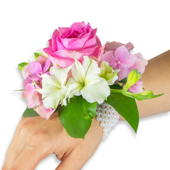 Set against a pristine white background, a delicate floral wristlet rests on a light-to-medium skin toned left hand and forearm, arranged with the confidence of an experienced florist's touch. The focal bloom is a generous deep fuchsia-pink rose, its layered petals tightly arranged and catching the light with a velvety sheen that suggests a subtle, classic rose perfume. Around this central bloom, clusters of blush-pink hydrangea create a soft, tactile halo-each tiny floret adding plush volume and a whisper of pastel. Several white alstroemeria (Peruvian lilies) are woven through the design; their smooth petals open to reveal pale green accents at the centre, bringing a crisp brightness that offsets the warmer tones. On the right-hand side of the corsage, a small gathering of pale green alstroemeria buds and a few barely open pink buds indicate future bloom, lending an anticipatory freshness to the piece. Lush, broad emerald leaves form a verdant cradle beneath the flowers, their glossy surfaces and pronounced veins providing structural contrast and depth. The arrangement is fastened with a refined bracelet of multiple strands of tiny, luminous white pearls that encircle the wrist and trail lightly down the hand, blending heirloom charm with contemporary wearability. Worn by a guest heading to a graduation at the University Parks or a prom near Oxford's Covered Market, this corsage conveys quiet elegance, expert construction, and a scent of roses and morning gardens.