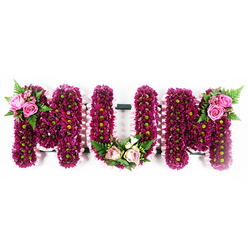 The image shows an elegant "MUM" funeral tribute, formed from three large, standing letters that appear to float against a bright white background, giving the design a clean, contemporary feel. Each letter is densely covered with small, vivid fuchsia-purple and deep magenta chrysanthemums, arranged so closely that no gaps in the structure can be seen, creating a lush, richly textured carpet of petals. Their lime-green centres introduce a gentle sparkle of contrast, suggesting new life and hope amid grief. Along the outer edges, a soft, ruffled ribbon in the palest pink traces every curve and line, adding a handcrafted, couture finish that feels both gentle and precise. The first "M" carries an accent at its upper left, where bold, deep pink roses nestle into a fan of fresh fern fronds, their rounded petals and feathery greenery standing proudly above the chrysanthemum base. At the bottom of the "U", a more delicate composition of blush roses, cream-toned blooms, and light foliage arcs along the inner curve, like a small posy laid tenderly at a graveside in one of Oxford's peaceful churchyards. The final "M" mirrors the first with its own cluster of pink roses and fern on the top right, giving the tribute a balanced, symmetrical appearance. The overall mood is deeply personal and respectful, the kind of bespoke design a local family might order for a memorial service in Jericho or near Cowley Road, when they want funeral flowers that speak quietly of love, gratitude, and enduring connection.