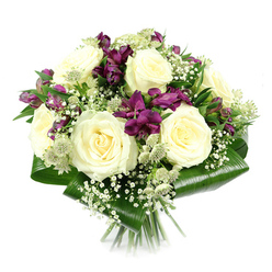 In this image, a round, compact bouquet appears suspended against a pristine white backdrop, its colours and textures reminiscent of a tranquil walk through one of Oxford's historic college gardens in early summer. The main focus is a ring of large, fully open creamy white roses, their petals layered in tight spirals that gradually relax towards the edges, creating a soft, cushion-like centre. The roses radiate a sense of purity and steadiness, evoking feelings of comfort and reassurance. Nestled among them, deep purple and magenta alstroemeria provide dramatic contrast; each slender, trumpet-shaped bloom has subtle striping in the throat, adding a sense of movement and intrigue, like shadows along a cloister wall. Scattered between these focal flowers are tiny, cloud-like clusters of white gypsophila, which soften the overall look and lend a dreamlike lightness, as though the bouquet is gently breathing. Here and there, pale green-white astrantia emerge, their star-shaped bracts surrounding intricate pincushion centres, bringing a hint of wildflower charm that would not look out of place in the meadows near Port Meadow. Broad, glossy aspidistra leaves have been artfully wrapped and folded around the base to form a low, dark green collar, framing the flowers and giving the design a refined, modern edge. The stems are cut evenly and held close together, clearly revealing a hand-tied construction. Crafted with care by an experienced Oxford florist, this arrangement conveys quiet elegance and reflective beauty, suitable for expressing sympathy, marking a thoughtful occasion in Headington or Botley, or bringing a peaceful focal point to a dining table bathed in soft evening light.