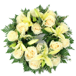This circular funeral wreath, captured from above against a crisp white backdrop, reads as an expression of gentle care and composure: creamy white roses and pale lemon lilies densely arranged over a rich bed of green foliage. Fifteen or so fully bloomed ivory roses create a soft, luminous foundation, their petals curled in tight, classic swirls; pale yellow trumpet lilies are interspersed deliberately, some opening wide to reveal slender, pale stamens while others remain in bud, giving a sense of unfolding time and quiet hope. The greenery beneath is layered and textured-fine fern fronds offer filigree softness around the outer edge, while broader, rounded leaves with a cool grey-green tone, similar to eucalyptus, give depth and a slightly matte contrast. Overhead, gentle daylight sculpts the petals and leaves, making the cream and lemon tones feel warm without being loud, and allowing the wreath's circular form to read as a visual gesture of continuity and remembrance. There is an imagined scent profile: the roses' soft, powdery perfume softened by a faint green, citrus edge from the lilies, all cushioned by the earthy green underlayer. The arrangement's dense packing and balanced rhythm reflect experienced florist craft-spacing, repetition, and texture are chosen to comfort. Intended as a respectful sympathy tribute for a funeral or memorial service, the wreath would be appropriate for quiet services across Oxford, from chapel gatherings near University Parks to private farewells in Jericho, and is offered with careful local attention to presentation and delivery.